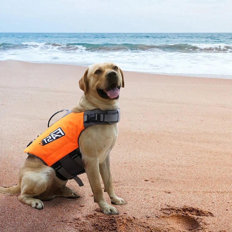 Summer Dog Life Vest