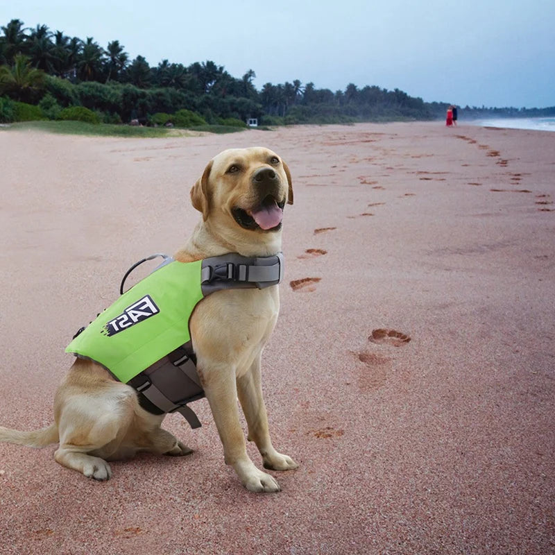 Summer Dog Life Vest