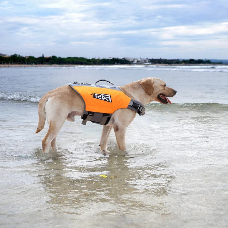 Summer Dog Life Vest